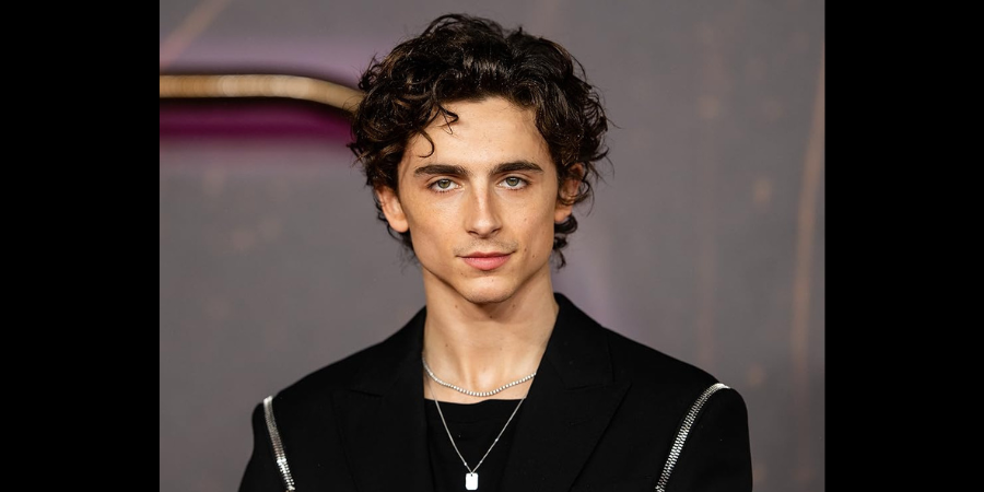 Timothée Chalamet & Kylie Jenner's Viral Knicks Moments